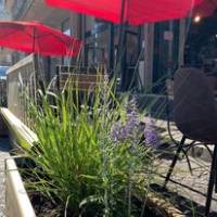 Nos prestations sur le secteur de près de Sainte-Adresse (76310) en Normandie